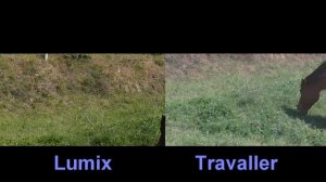 Panasonic Lumix DMC-TZ7 vs Traveler