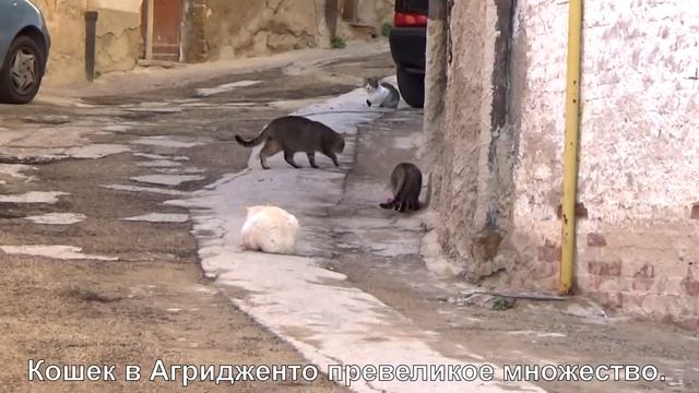 4. Сицилия. Агридженто - Долина храмов.