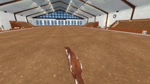 Star Stable online #194 - Покупка обновлённых американских пейнтхорсов!