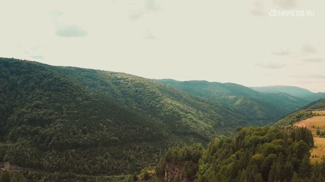 Совместимость Львов со всеми знаками Зодиака