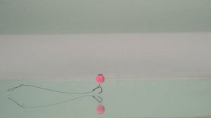 Бойлы Balance Carp Catchers 10 mm: плавучесть и презентация насадки