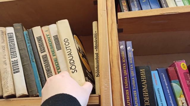 Таллин, Эстония. Куда пойти, где поесть?... кафе, старый город, книжный, аниме, роботы