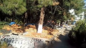 Бизнес на цветочных горшках. Бизнес для женщин.