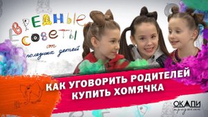 Как уговорить родителей купить хомячка