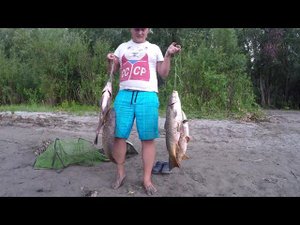 Нереальная #рыбалка на САЗАНА.