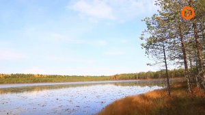 Экскурсия в заказник "Формозовский" с телекомпанией "Русь"