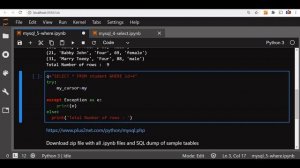 MySQL SELECT Query in Python with WHERE  to get matching records by user input & parameterized quer