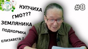 ГМО? Купчиха. Елизавета 2. Подкормка земляники. Ответы на вопросы по выращиванию клубники.