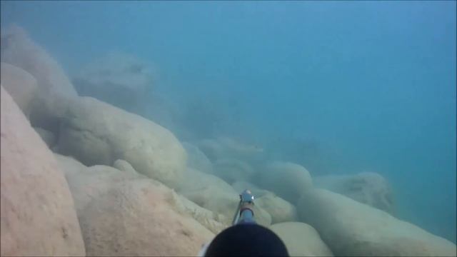 Подводная охота. Кефаль рулит в Небуге. смотреть онлайн