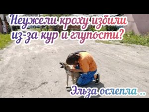 Маленькая Эльзочка, как и все принцессы, пострадала...Но по закону жанра - обязана стать счастливой!