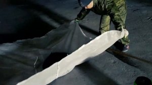 Подсолнечник, часть первая. Обработка семян