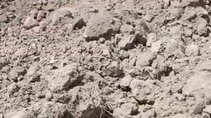 Самодельный дисковый земля измельчитель