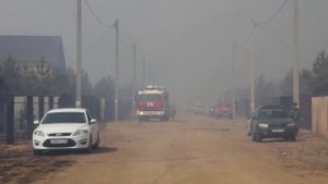 пожар в добротном