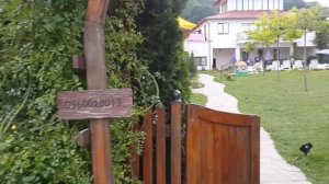 С.Шаяны. Отдых. Закарпатская область