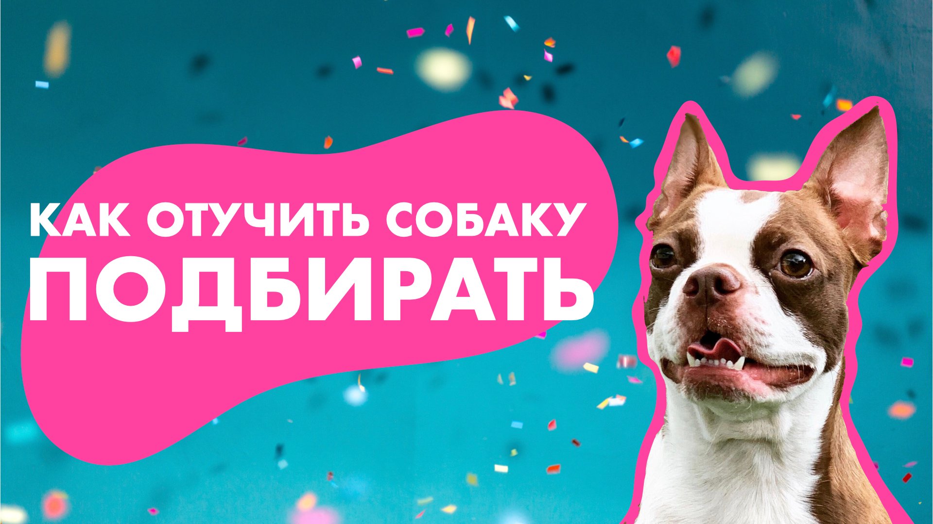 Как отучить щенка подбирать