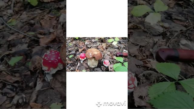 вот как бывает
