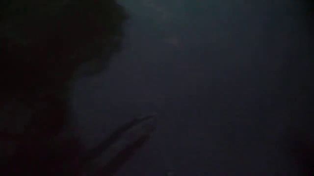 Отпускание ленка (Красная книга Бурятии) смотреть онлайн