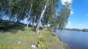 Западно-сибирская  лайка,  5 месяцев.