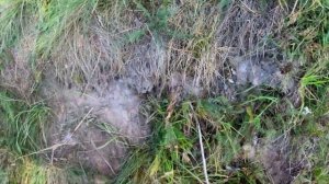 Тестируем Фрегат 350 и Фрегат 430 на порогах Вуоксы!