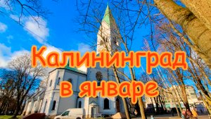 Калининград очарователен даже в январе!