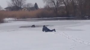 Парень спас собаку, провалившуюся под лед