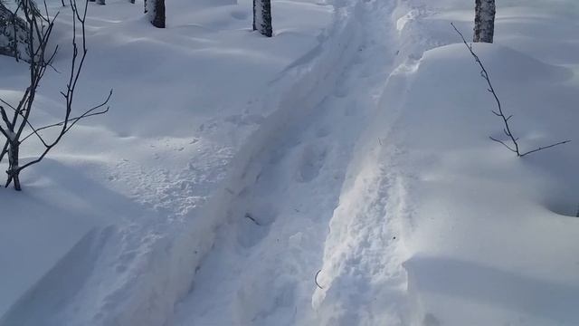 Мототолкач Ураган-Универсал. На подъёме после снегохода. смотреть онлайн