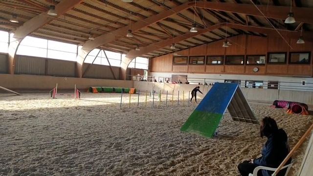 Eggenstein - Leopoldshafen | Steam смотреть онлайн