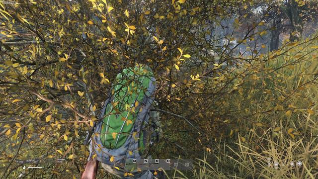 Приключения на новом сервере Dayz
