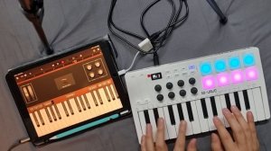 Final Fantasy VII - "Flowers blooming in the church"  cover with my M-vave SMK-25 midi keyboard