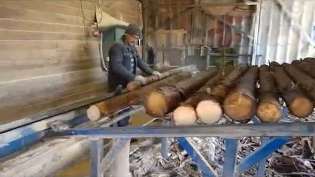 УСЛУГА распиловки тонкомера ЛЕСОПАРК