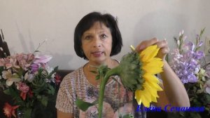 Подсолнух из фоамирана как настоящий, да еще и с сюрпризом. Обзор мастер-класса Елены Семановой.