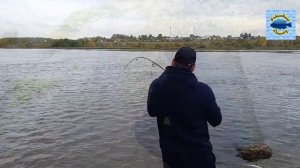 Рыбалка со спиннингом в заливе канала им. Москвы. Ловля судака на джиг. Окунь в завязке