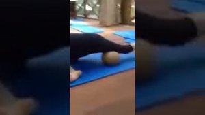Yamuna Body Rolling отрывок www.eiyoo.ru