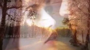 Зара- Цвет ночи.flv