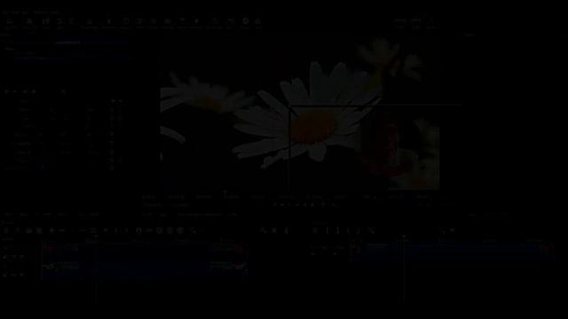 Shotcut Tutorial - Create Video Overlay (Video-in-video)