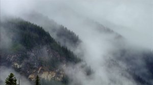 The Wild Within: British Columbia, Canada