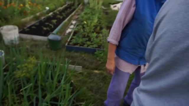 Прожарка дачи и бани Ромахи смотреть онлайн