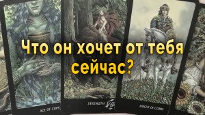 Что он задумал? Что он хочет от тебя сейчас? Таро Гадание Онлайн