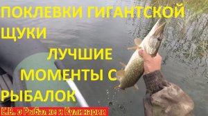 ПОКЛЕВКИ ГИГАНТСКИХ ЩУК,ЛУЧШИЕ МОМЕНТЫ,ЩУКА ПРИ КАЖДОМ ЗАБРОСЕ, ПОПАЛИ ПОД РАЗДАЧУ КРУПНОЙ ЩУКИ.