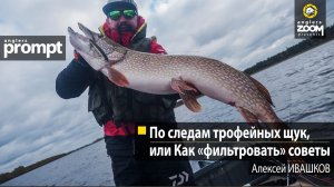 По следам трофейных щук, или Как «фильтровать» советы. Алексей Ивашков. Anglers Prompt