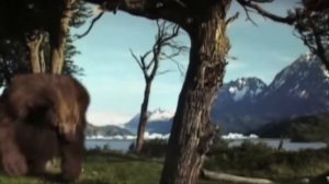 10 Животных, Которых Собираются Воскресить из мертвих.