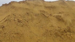 Работа на Тонаре. Рабочий сезон открыт! Как обманывают на заправках?