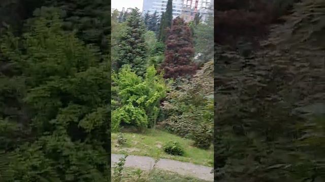 Сочи, канатная дорога и Дендропарк смотреть онлайн