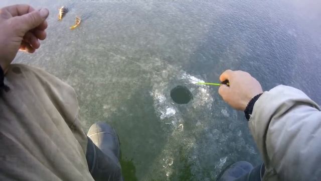 Первый лед в ноябре. Окунь рвет леску! смотреть онлайн