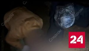 Появились кадры с места убийства петербургской школьницы - Россия 24