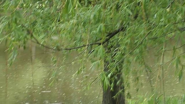Крупная река Белгородской области рыбалка в белгородской области