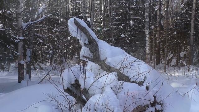 Суровый зимний поход в февральскую стужу. Лагерь зимой смотреть онлайн