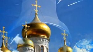 Белая птица. Песня Творческой группы Свет Софии.