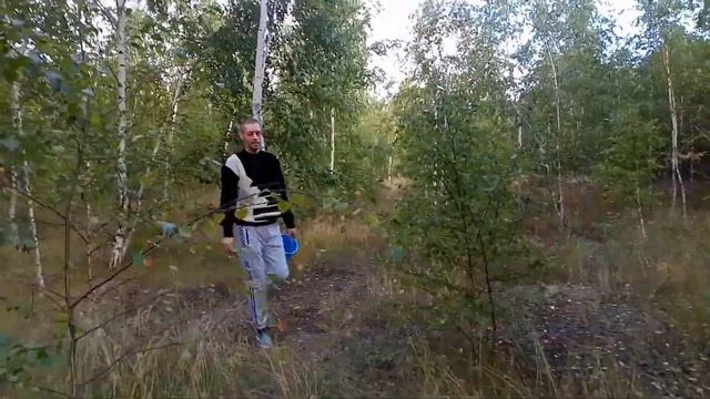 ГРИБЫ, ГРИБЫ, КРУГОМ ГРИБЫ ! Август 2020. Воронежская область. смотреть онлайн