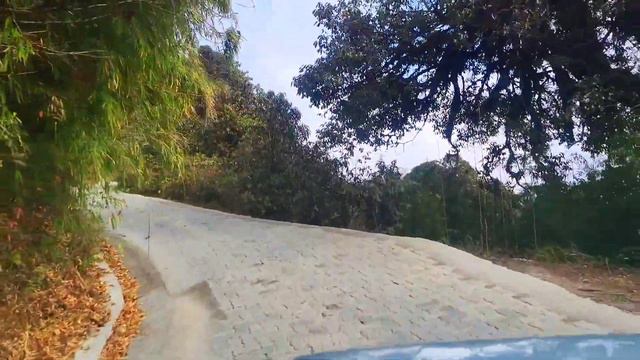 পশ্চিমবঙ্গের সর্বোচ্চ শৃঙ্গে নৈসর্গিক অভিজ্ঞতা || Sandakphu || সান্দাকফু || Sunrise Hotel || Part-3 смотреть онлайн